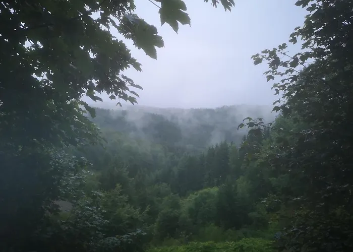 Dorfschule Mollseifen Lejlighed *