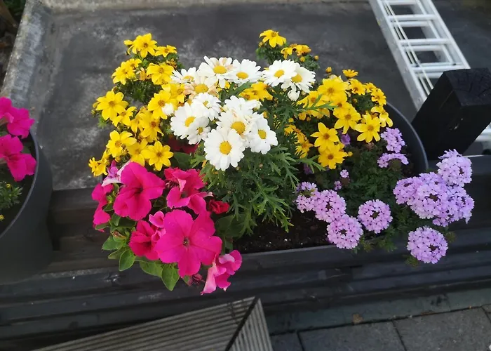 Dorfschule Mollseifen