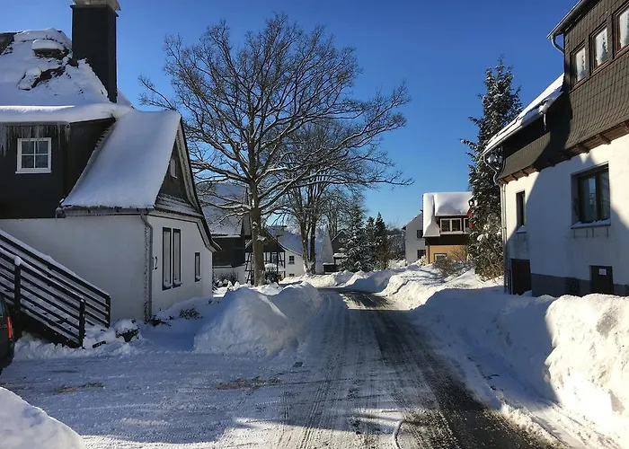 Dorfschule Mollseifen Lejlighed Winterberg